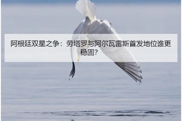 a-gen-ting-shuang-xing-zhi-zheng-lao-ta-luo-yu-a-er-wa-lei-si-shou-fa-di-wei-shui-geng-wen-gu-3-611.jpg